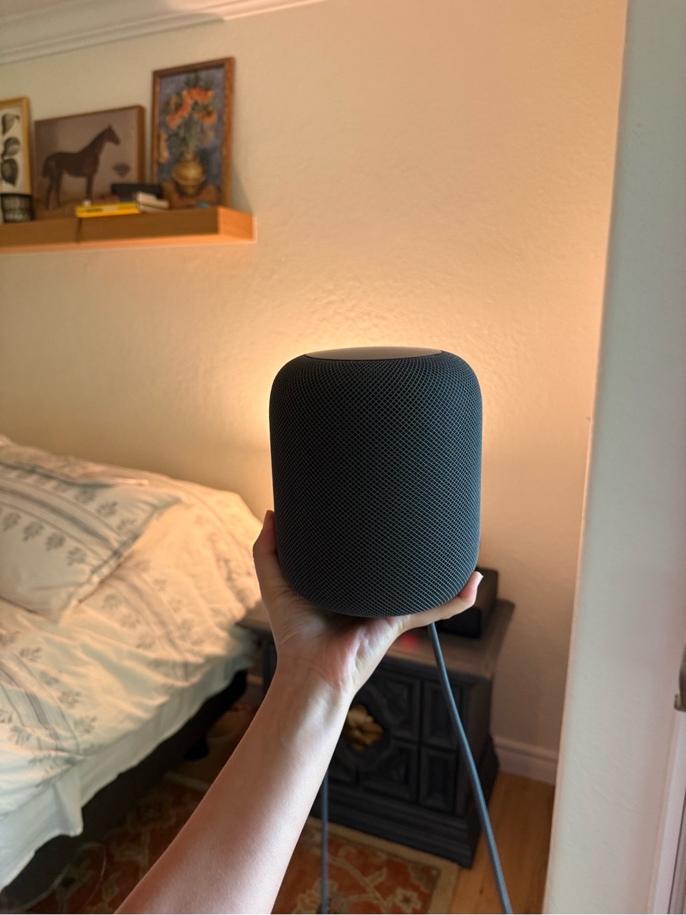 Apple HomePod Smart Speaker - Black